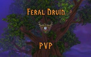 PVP Feral Druid Guide WotLK 3.3.5a